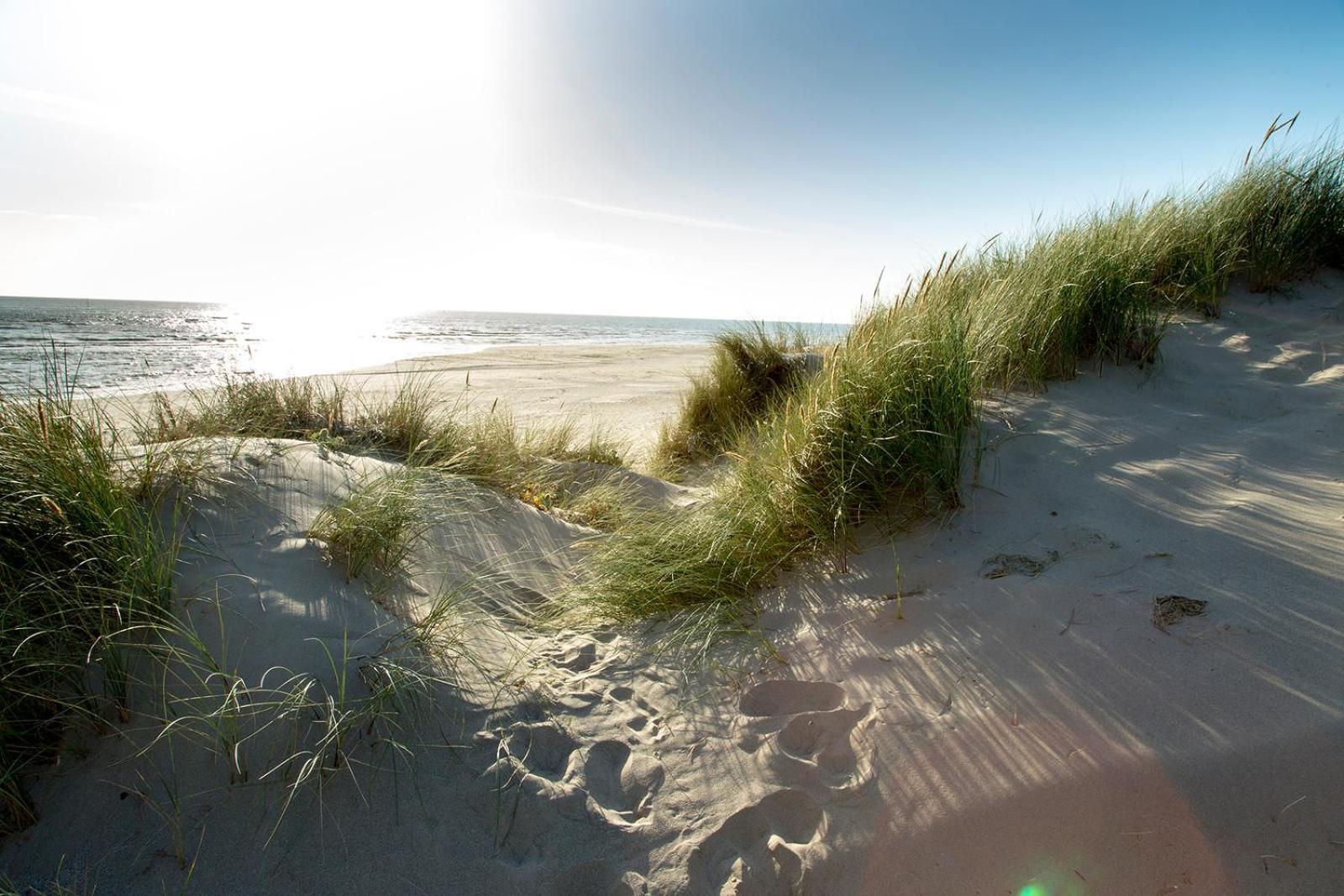 Barmouth Bay Holiday Park Llanddwywe Eksteriør billede